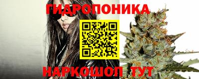 твердый Славгород