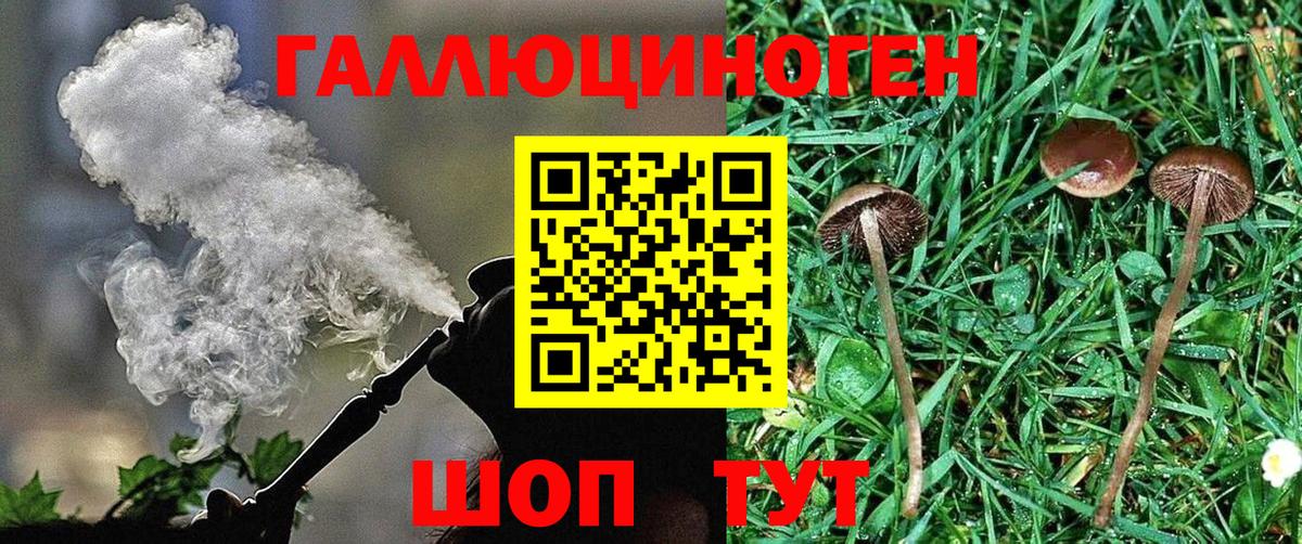Псилоцибиновые грибы Cubensis  Вход с VPN  Щёлково  Галлюциногенные грибы мухоморы 